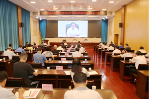 湖南召開2020年度全省打擊侵權(quán)假冒工作視頻會議