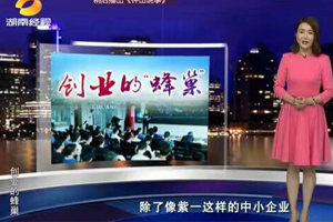 紫一蜂巢創(chuàng)業(yè)榮登湖南《經(jīng)視觀察》